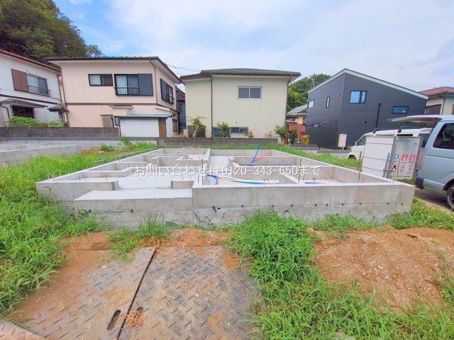 撮影日(2025-08-07 00:00:00)