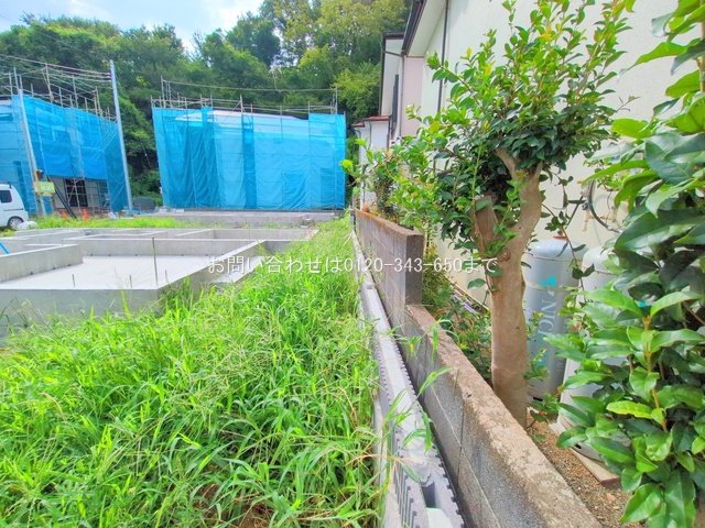 撮影日(2025-08-07 00:00:00)