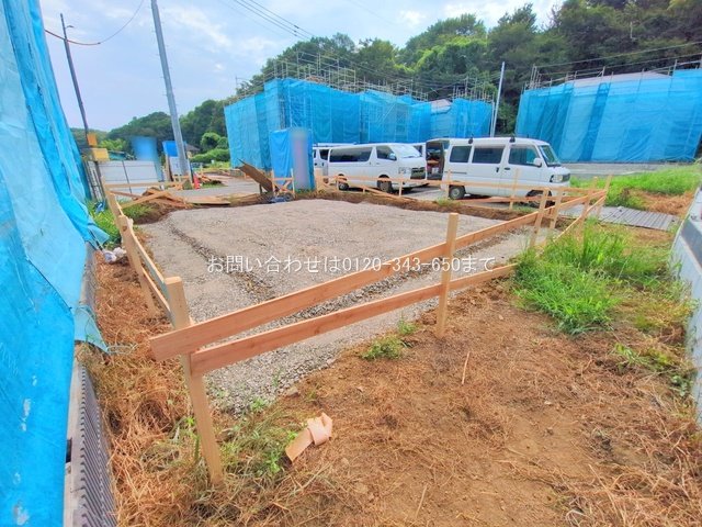 撮影日(2025-08-07 00:00:00)