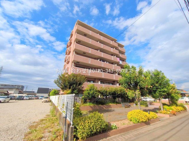 撮影日(2025-10-06)