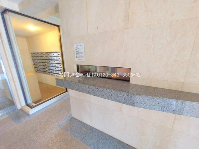 撮影日(2025-10-06 00:00:00)