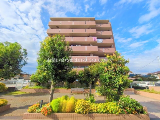 撮影日(2025-10-06 00:00:00)