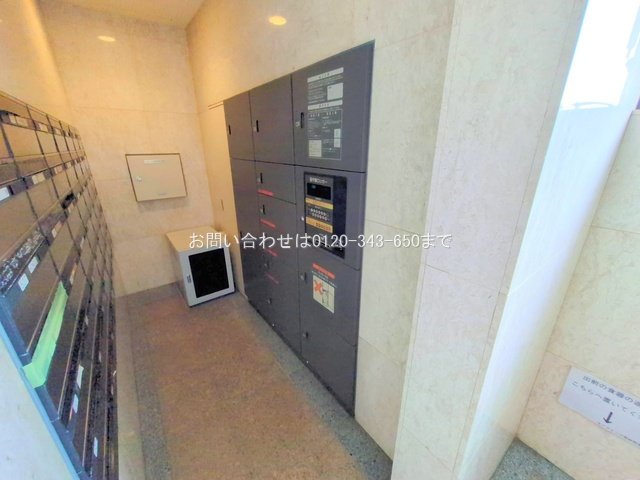 撮影日(2025-10-06 00:00:00)