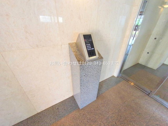 撮影日(2025-10-06 00:00:00)