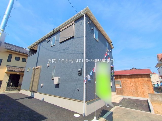 撮影日(2025-06-30 00:00:00)