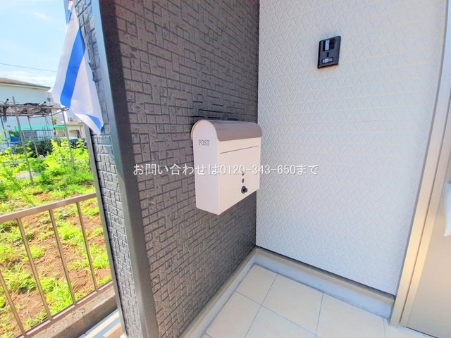 撮影日(2025-06-30 00:00:00)