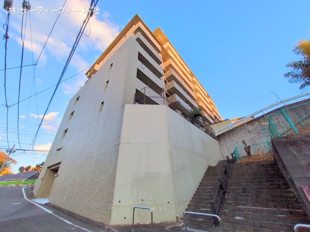 撮影日(2025-01-15 00:00:00)