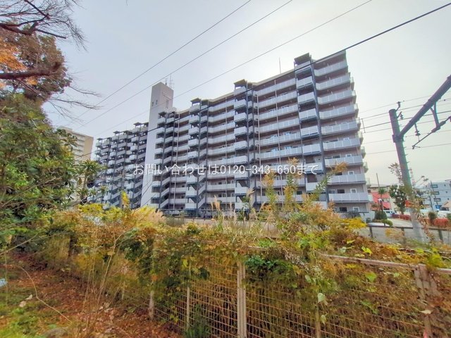 撮影日(2024-12-20)