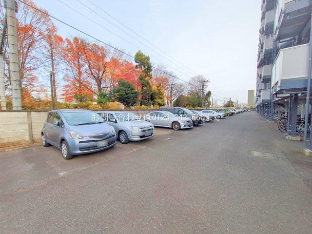 撮影日(2024-12-20 00:00:00)