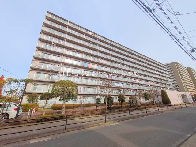 撮影日(2024-12-20 00:00:00)