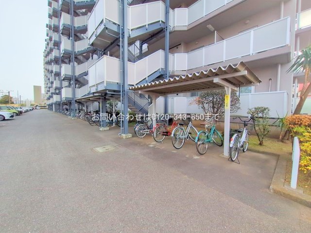 撮影日(2024-12-20 00:00:00)