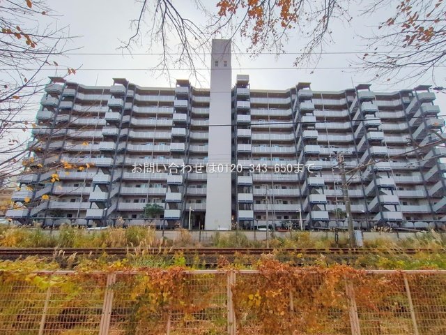 撮影日(2024-12-20 00:00:00)