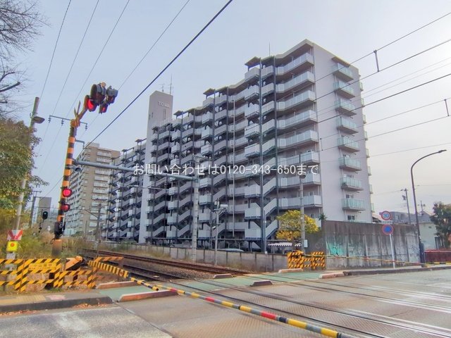 撮影日(2024-12-20 00:00:00)