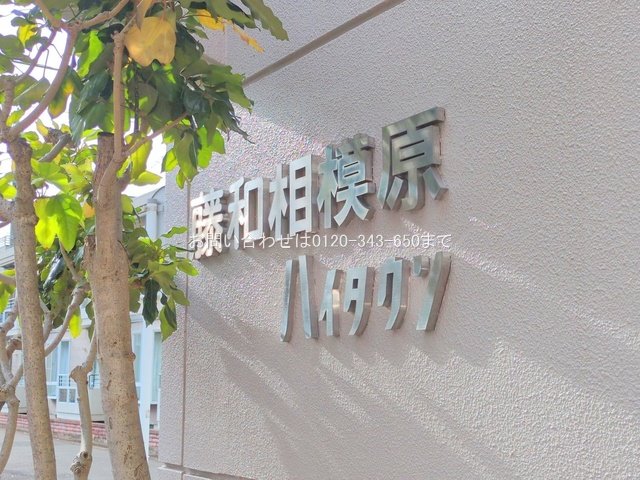 撮影日(2024-12-20 00:00:00)