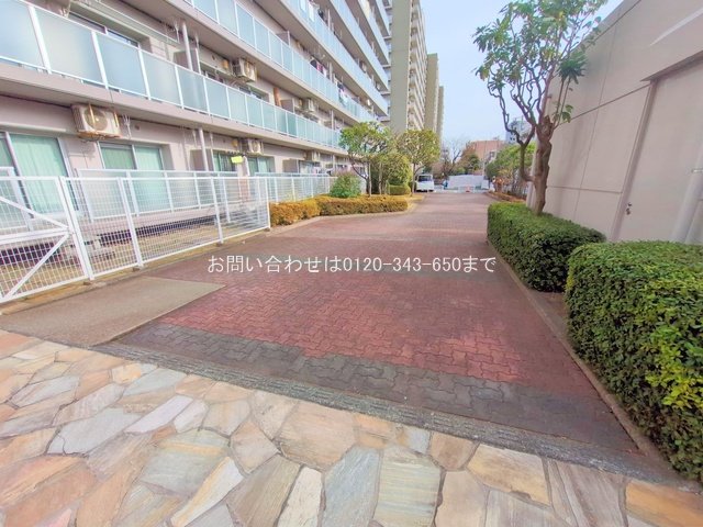 撮影日(2024-12-20 00:00:00)