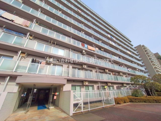 撮影日(2024-12-20 00:00:00)