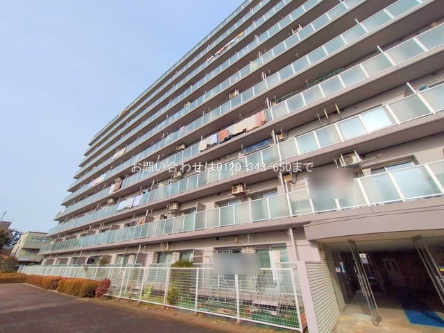 撮影日(2024-12-20 00:00:00)