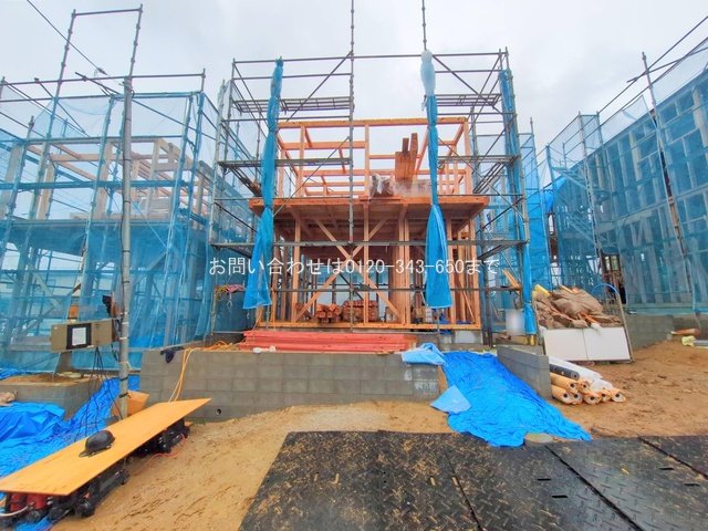 撮影日(2025-10-01 00:00:00)