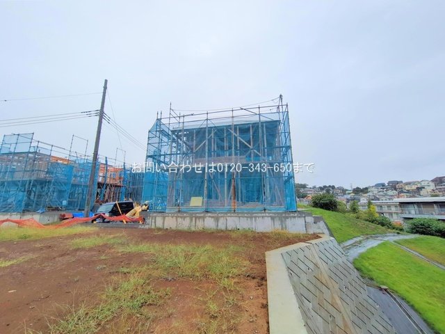 撮影日(2025-10-01 00:00:00)