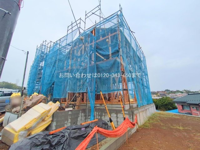 撮影日(2025-10-01 00:00:00)