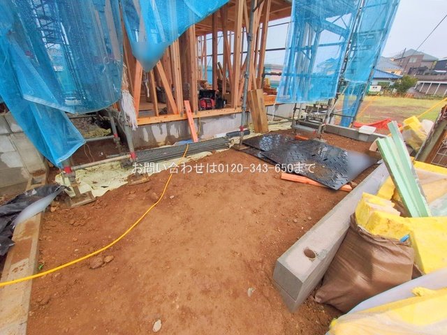 撮影日(2025-10-01 00:00:00)