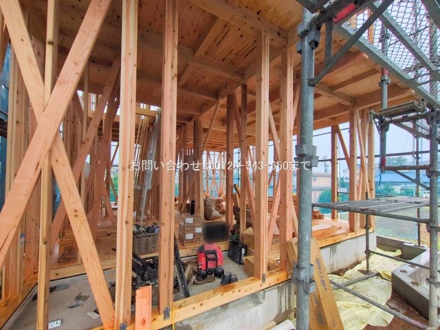 撮影日(2025-10-01 00:00:00)