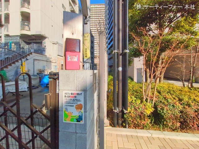 撮影日(2025-01-15 00:00:00)