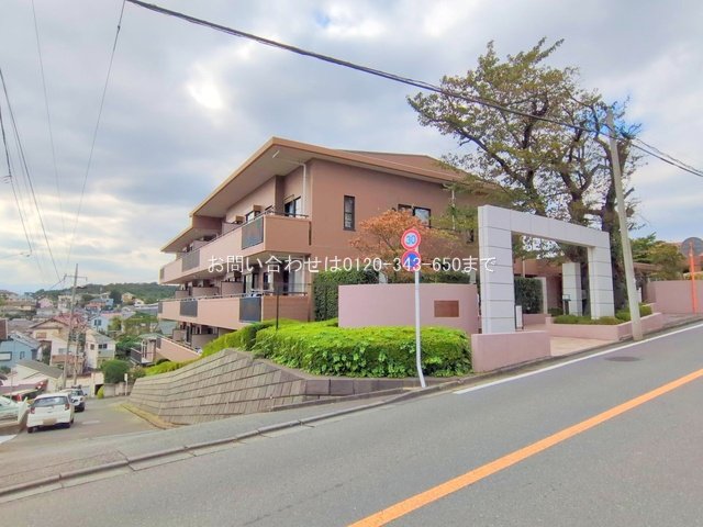 撮影日(2025-10-10)