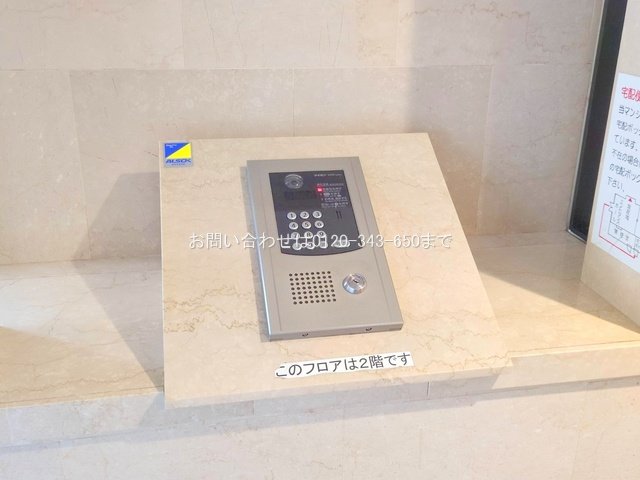 撮影日(2025-10-10 00:00:00)