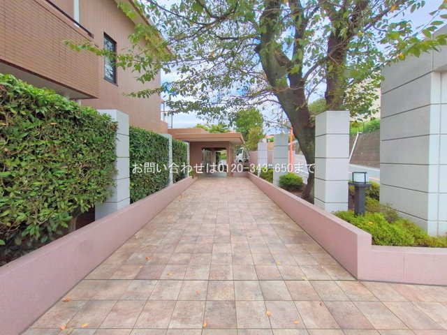 撮影日(2025-10-10 00:00:00)