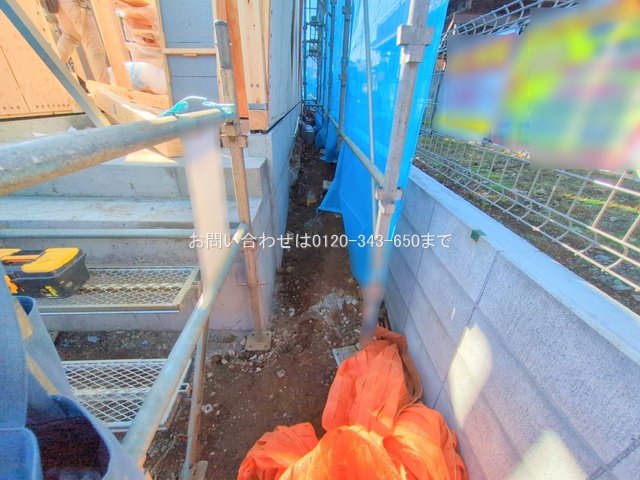 撮影日(2025-11-14 00:00:00)