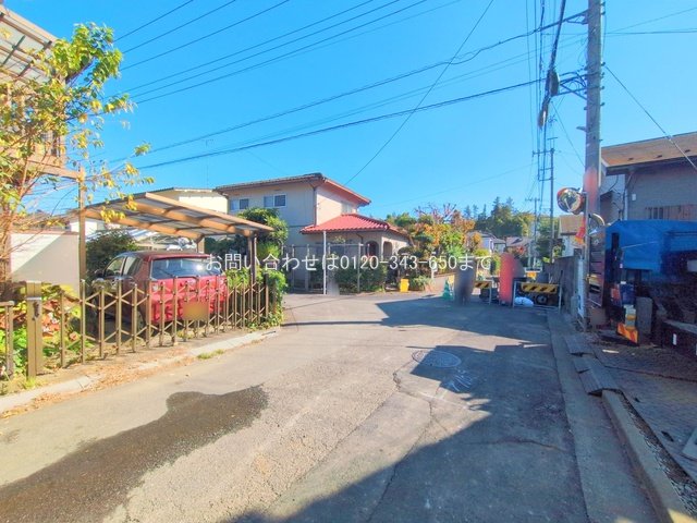 撮影日(2025-11-14 00:00:00)