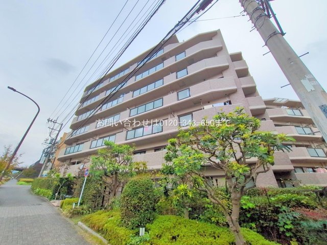 撮影日(2025-10-14)