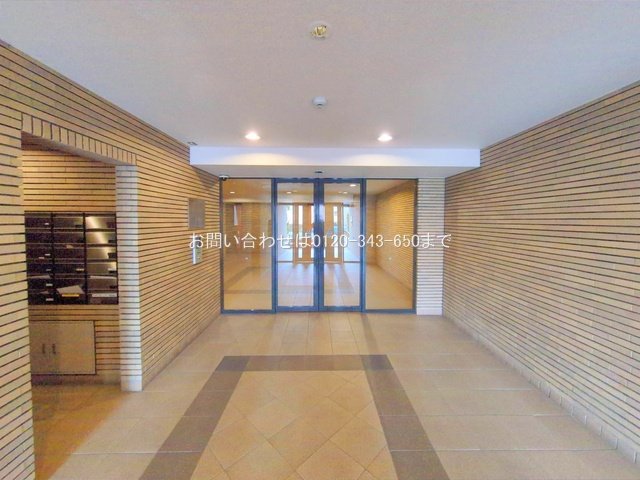 撮影日(2025-10-14 00:00:00)