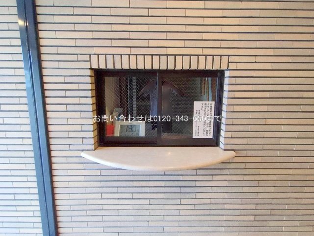 撮影日(2025-10-14 00:00:00)