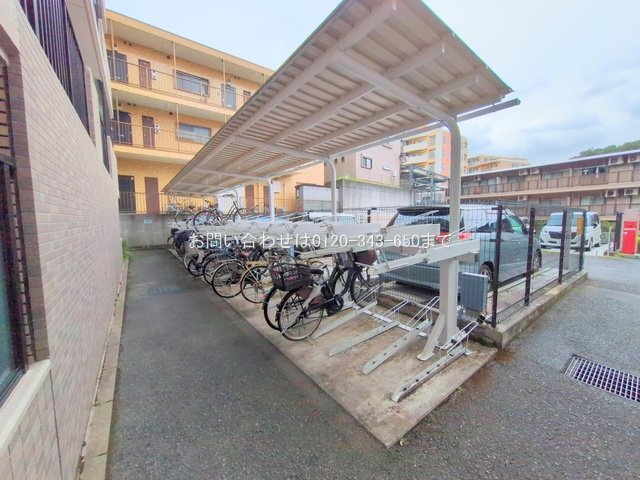 撮影日(2025-10-14 00:00:00)