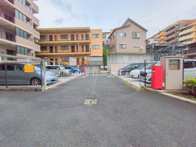 撮影日(2025-10-14 00:00:00)