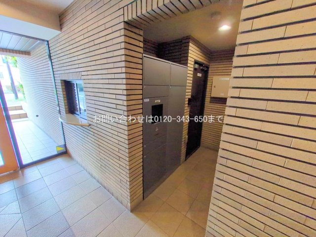 撮影日(2025-10-14 00:00:00)