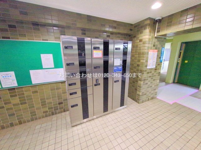 撮影日(2025-10-15 00:00:00)