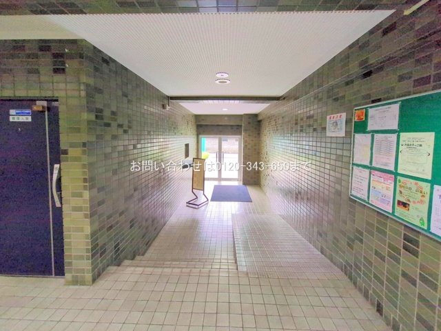 撮影日(2025-10-15 00:00:00)