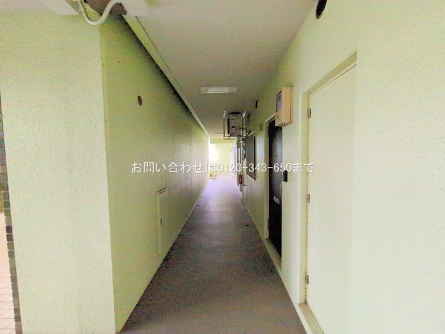 撮影日(2025-10-15 00:00:00)