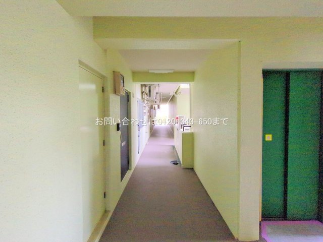 撮影日(2025-10-15 00:00:00)