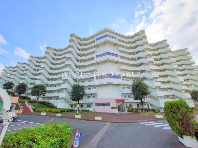 撮影日(2024-11-12)