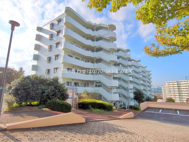 撮影日(2024-11-12 00:00:00)