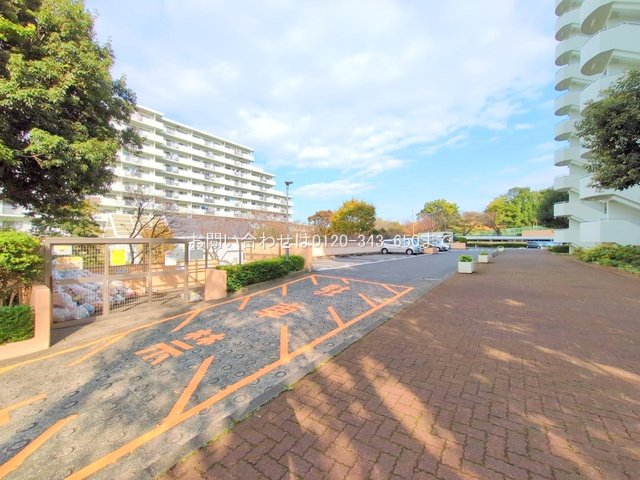 撮影日(2024-11-12 00:00:00)