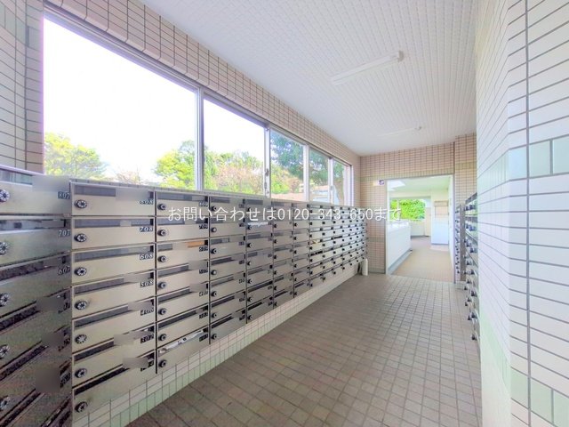 撮影日(2024-11-12 00:00:00)