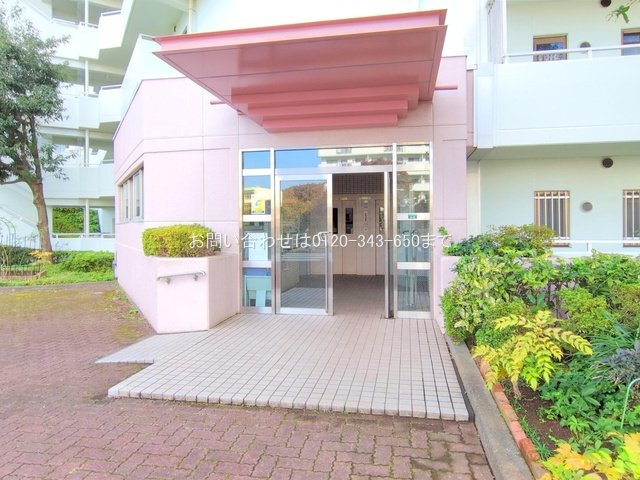 撮影日(2024-11-12)