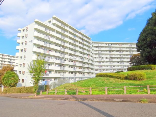 撮影日(2024-11-12 00:00:00)