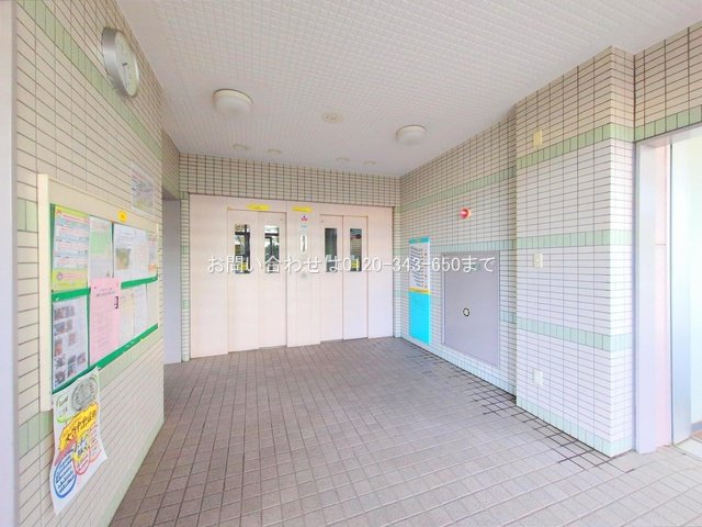 撮影日(2024-11-12 00:00:00)