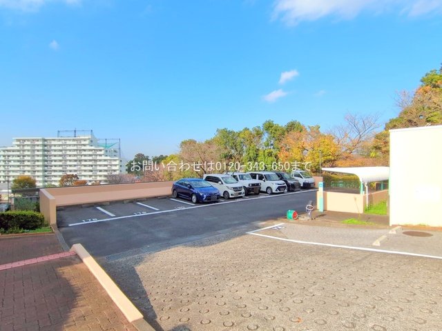 撮影日(2024-11-12 00:00:00)